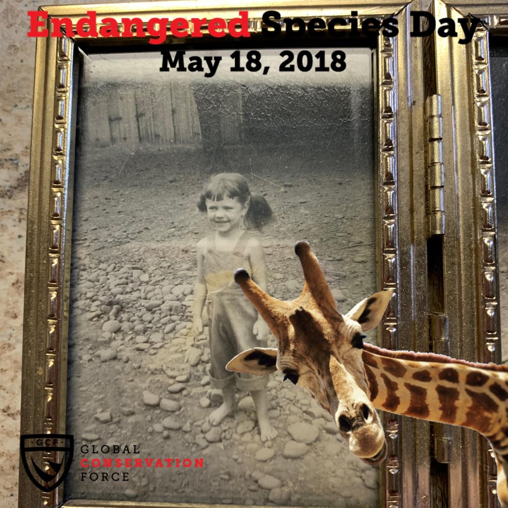 Meet your Posher, Sue